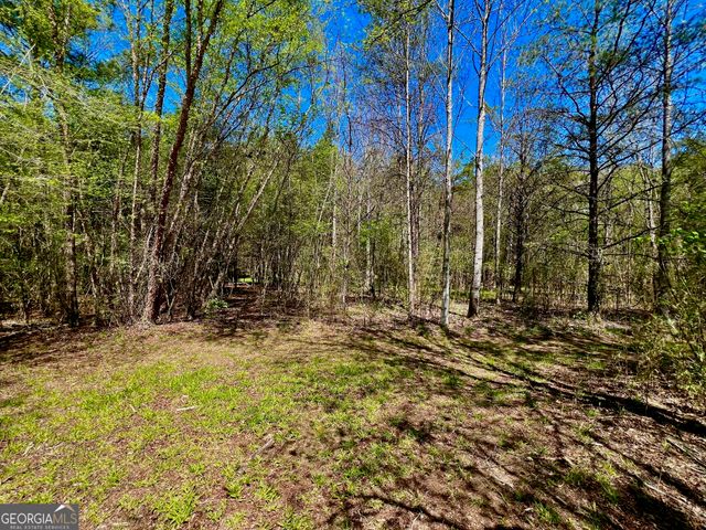 0 Toccoa River Forest, Mineral Bluff, GA 30559
