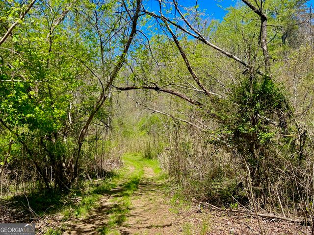 0 Toccoa River Forest, Mineral Bluff, GA 30559