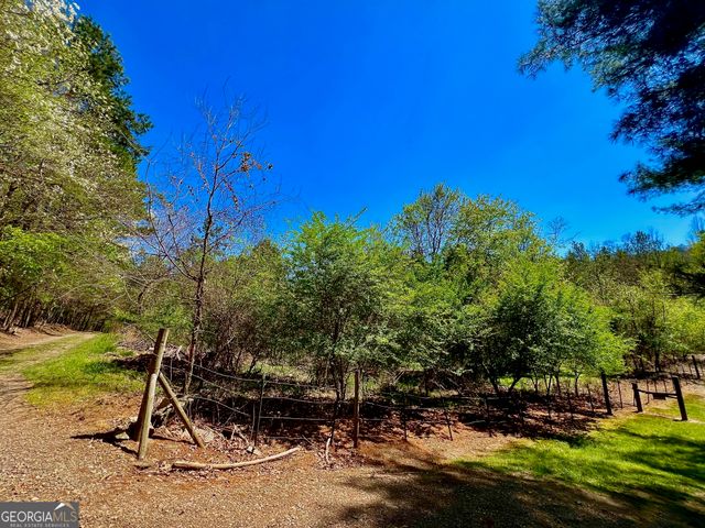 0 Toccoa River Forest, Mineral Bluff, GA 30559