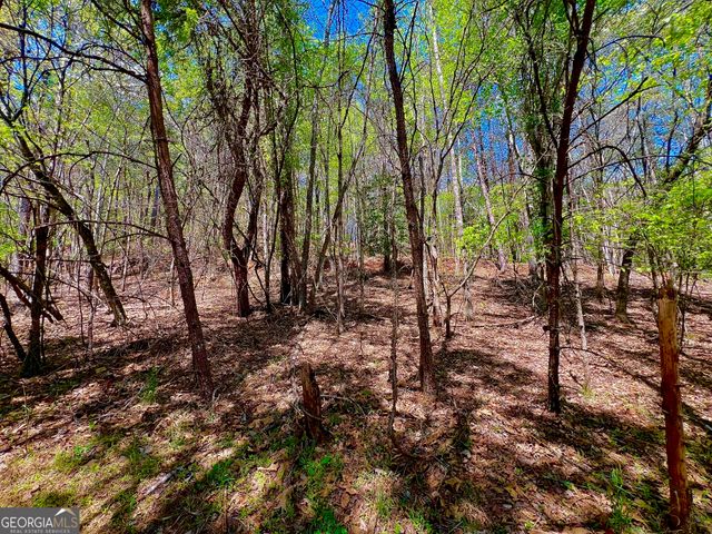 0 Toccoa River Forest, Mineral Bluff, GA 30559