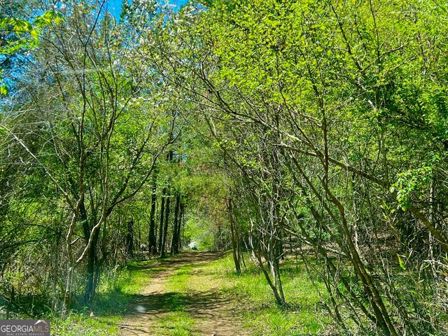 0 Toccoa River Forest, Mineral Bluff, GA 30559