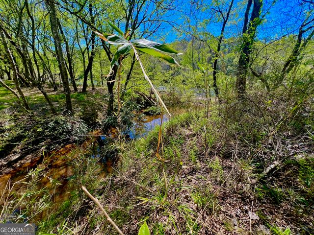 0 Toccoa River Forest, Mineral Bluff, GA 30559