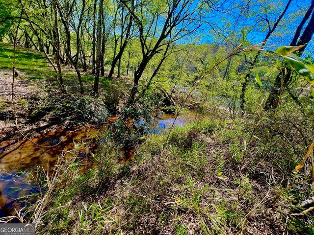 0 Toccoa River Forest, Mineral Bluff, GA 30559