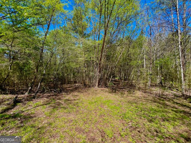 0 Toccoa River Forest, Mineral Bluff, GA 30559