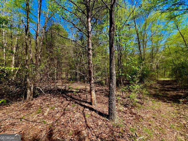 0 Toccoa River Forest, Mineral Bluff, GA 30559
