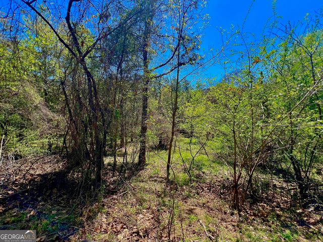 0 Toccoa River Forest, Mineral Bluff, GA 30559