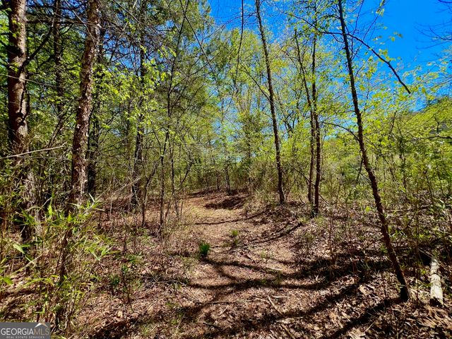 0 Toccoa River Forest, Mineral Bluff, GA 30559