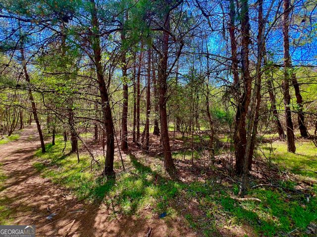 0 Toccoa River Forest, Mineral Bluff, GA 30559