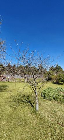 52821 County Road 657, Antwerp Twp, MI 49079