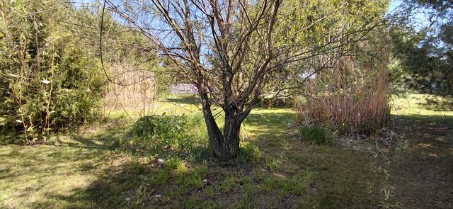 52821 County Road 657, Antwerp Twp, MI 49079