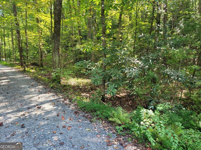 0 Miners Mountain Road LOT 6, Sautee Nacoochee, GA 30571