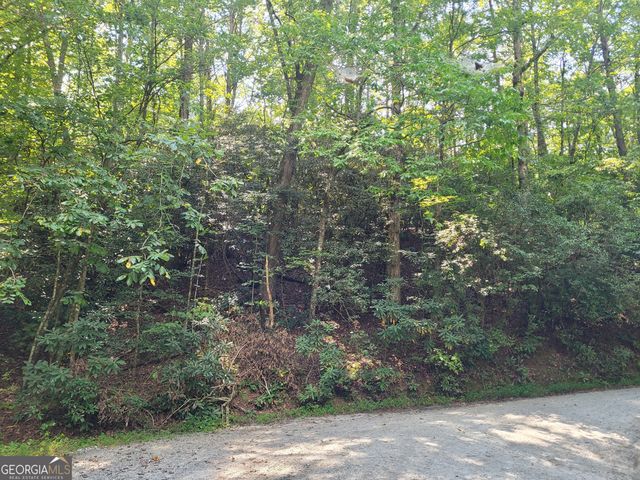 0 Miners Mountain Road LOT 6, Sautee Nacoochee, GA 30571