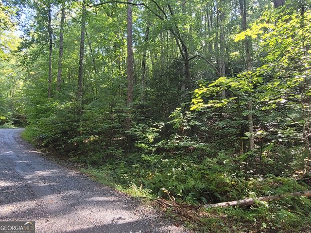 0 Miners Mountain Road LOT 6, Sautee Nacoochee, GA 30571