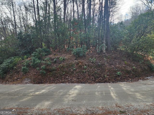 0 Miners Mountain Road LOT 6, Sautee Nacoochee, GA 30571