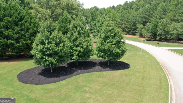 135 Magnolia Place Drive, Senoia, GA 30276