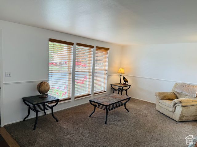 325 S COBBLE ST, Salina, UT 84654