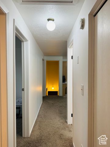 325 S COBBLE ST, Salina, UT 84654