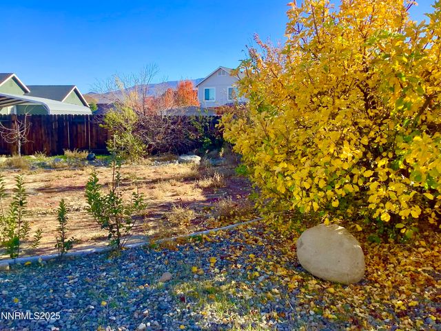 211 Shady Grove Lane, Dayton, NV 89403