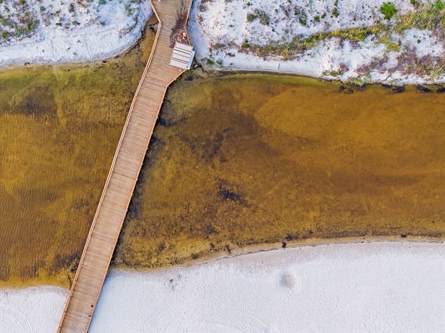 409 Coopersmith Lane, Inlet Beach, FL 32461