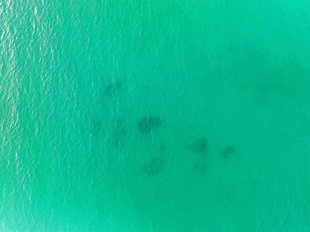 409 Coopersmith Lane, Inlet Beach, FL 32461