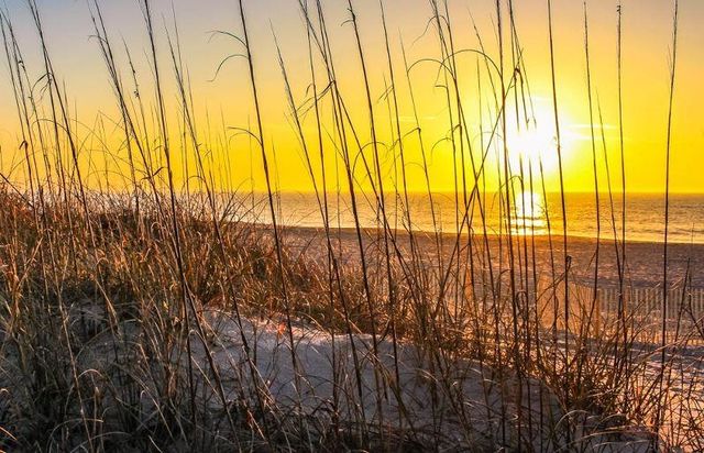 1113 S Ocean Blvd Unit 601, Surfside Beach, SC 29575