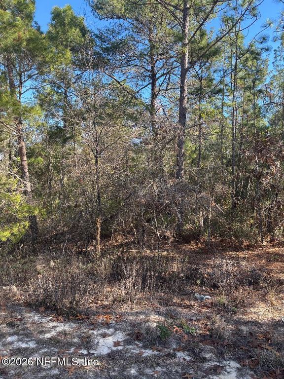 7457 BIENVILLE Avenue, Keystone Heights, FL 32656