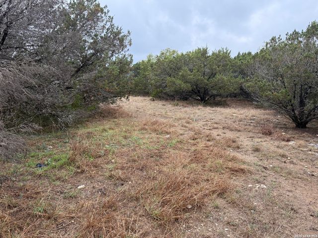 1050 Rotherman, Canyon Lake, TX 78133