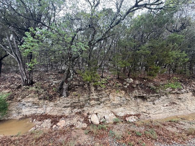 1050 Rotherman, Canyon Lake, TX 78133