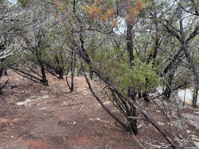 1050 Rotherman, Canyon Lake, TX 78133