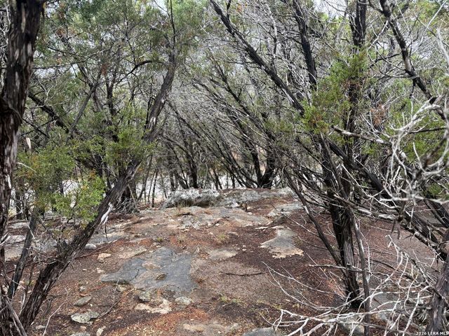 1050 Rotherman, Canyon Lake, TX 78133