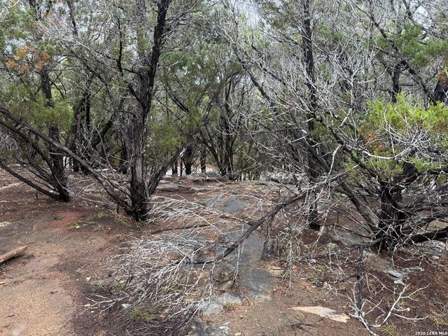 1050 Rotherman, Canyon Lake, TX 78133