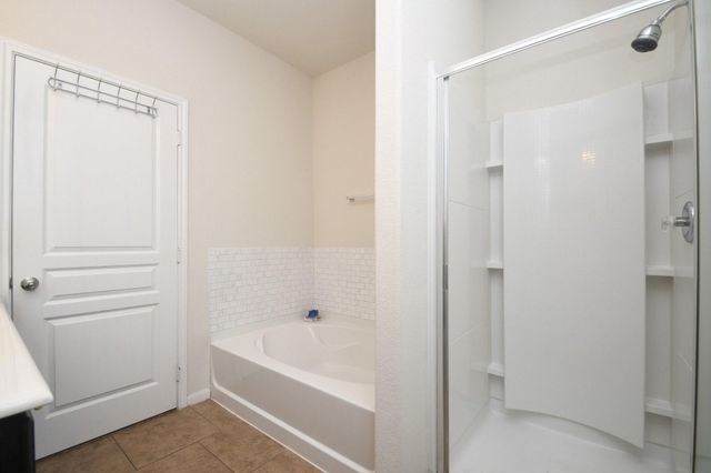 20114 Linden Spruce Lane, Richmond, TX 77407