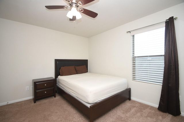 20114 Linden Spruce Lane, Richmond, TX 77407