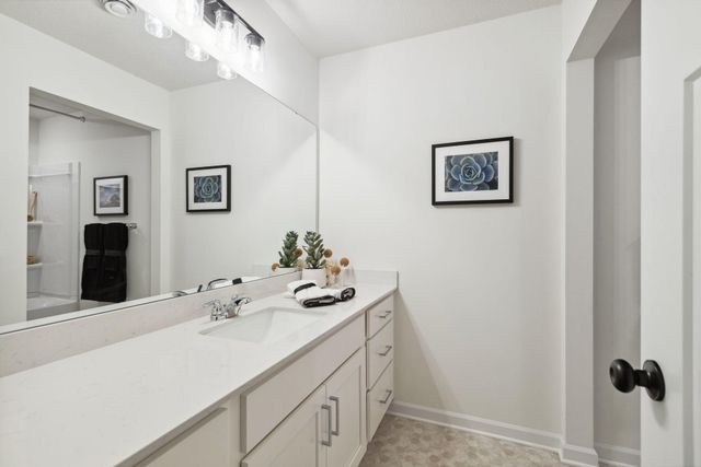 4195 Narrows Canyon Trail, Chaska, MN 55318