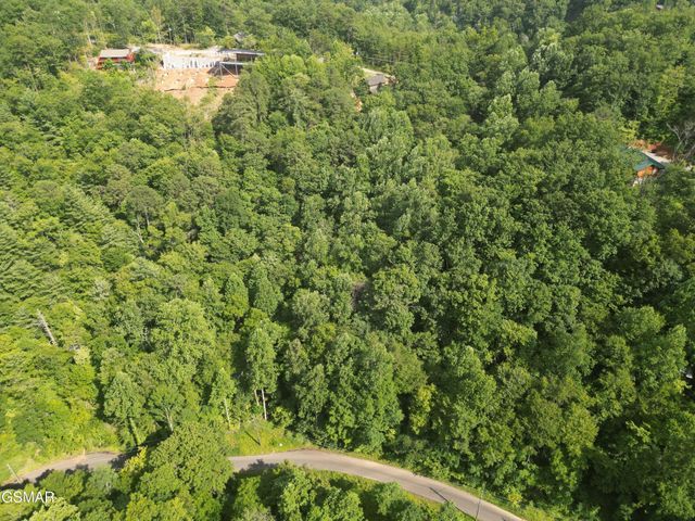4321 Manis Hollow Road, Gatlinburg, TN 37738