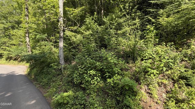 4321 Manis Hollow Road, Gatlinburg, TN 37738