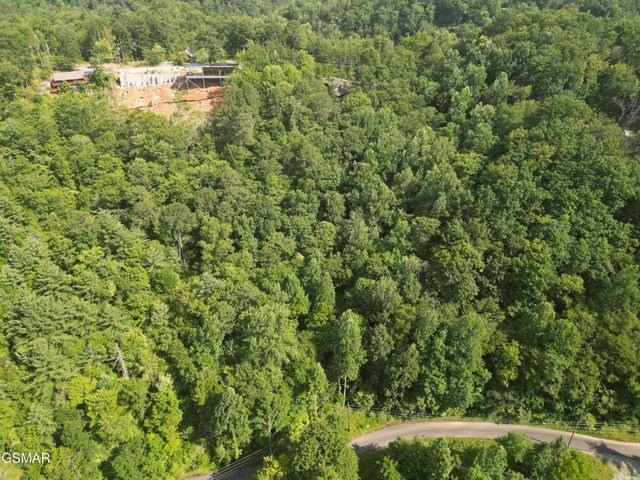 4321 Manis Hollow Road, Gatlinburg, TN 37738