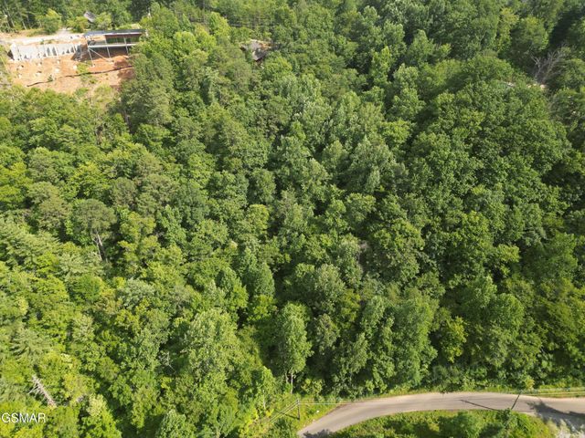 4321 Manis Hollow Road, Gatlinburg, TN 37738