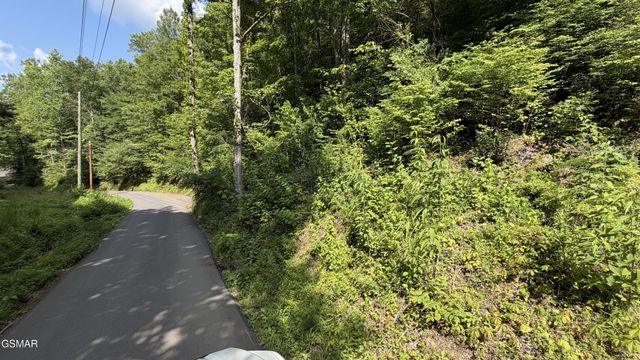 4321 Manis Hollow Road, Gatlinburg, TN 37738