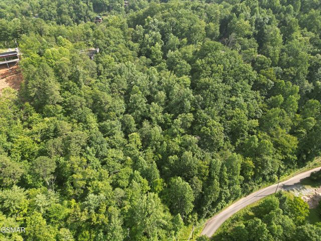 4321 Manis Hollow Road, Gatlinburg, TN 37738