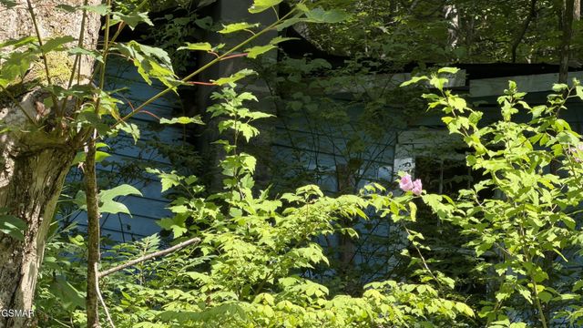 4321 Manis Hollow Road, Gatlinburg, TN 37738