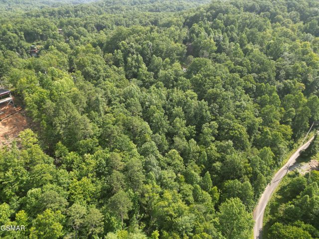 4321 Manis Hollow Road, Gatlinburg, TN 37738