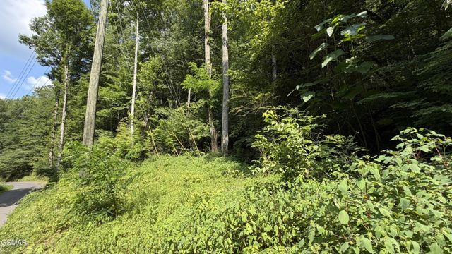 4321 Manis Hollow Road, Gatlinburg, TN 37738