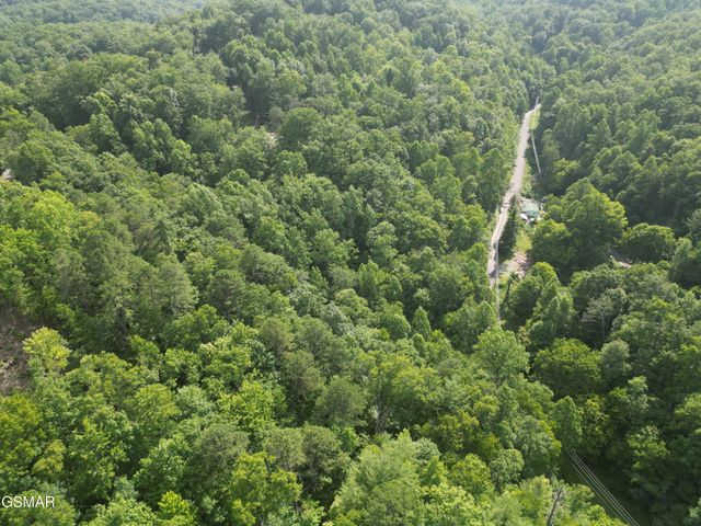 4321 Manis Hollow Road, Gatlinburg, TN 37738