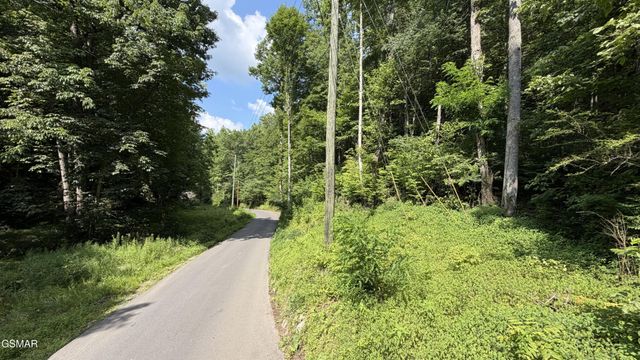 4321 Manis Hollow Road, Gatlinburg, TN 37738