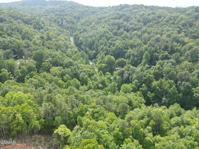 4321 Manis Hollow Road, Gatlinburg, TN 37738