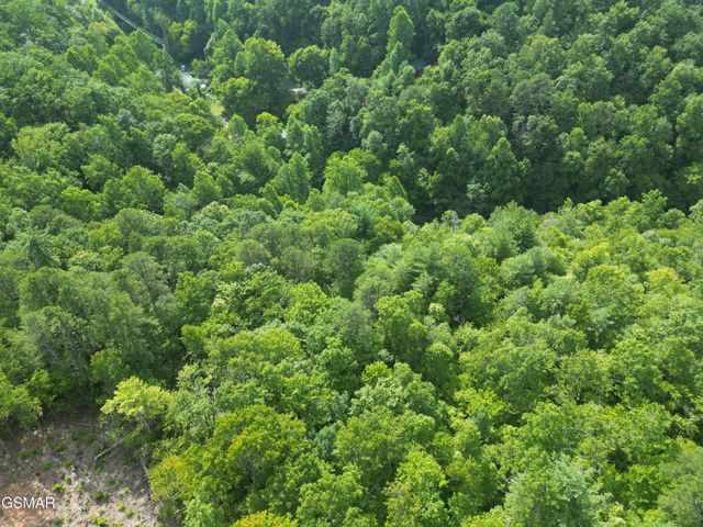 4321 Manis Hollow Road, Gatlinburg, TN 37738