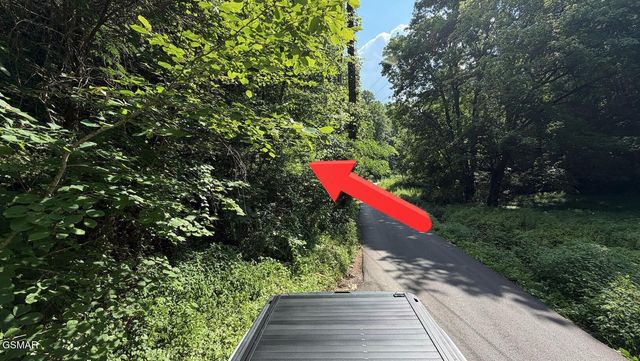 4321 Manis Hollow Road, Gatlinburg, TN 37738