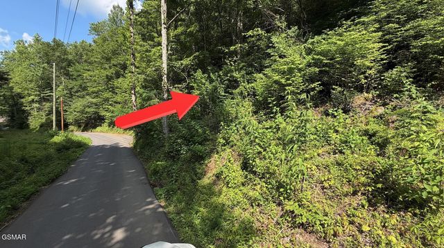 4321 Manis Hollow Road, Gatlinburg, TN 37738
