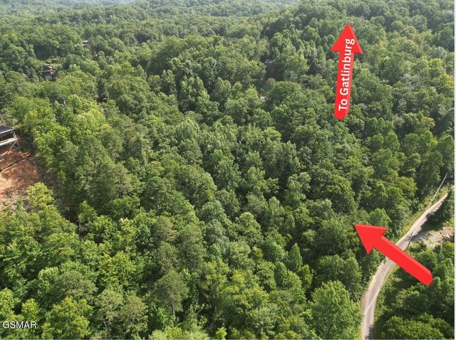 4321 Manis Hollow Road, Gatlinburg, TN 37738